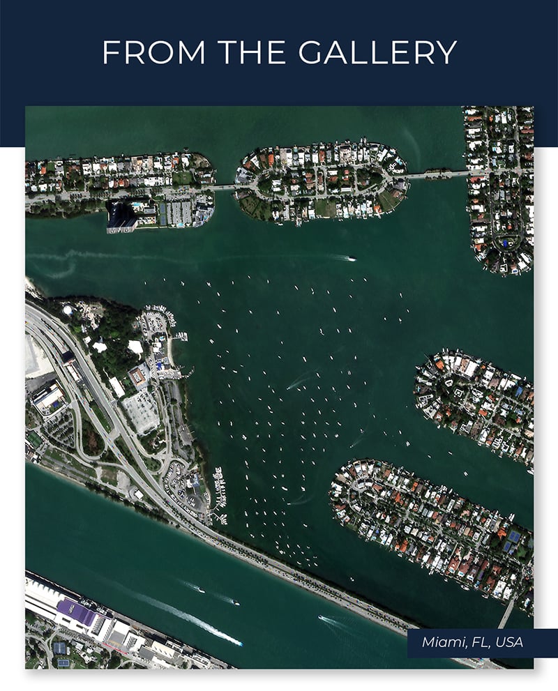 Satellogic_From the gallery, MIAMi