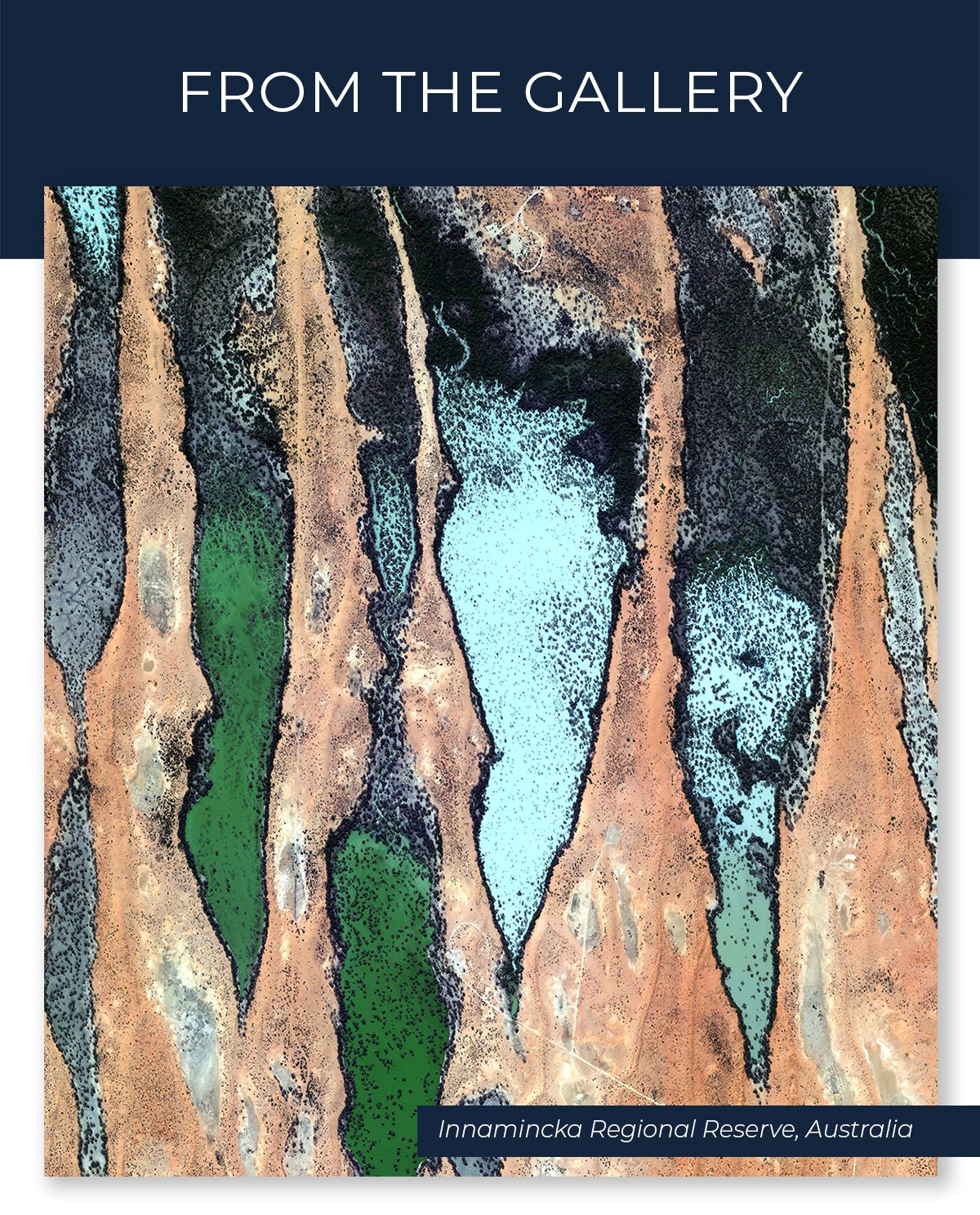 From_the_Gallery